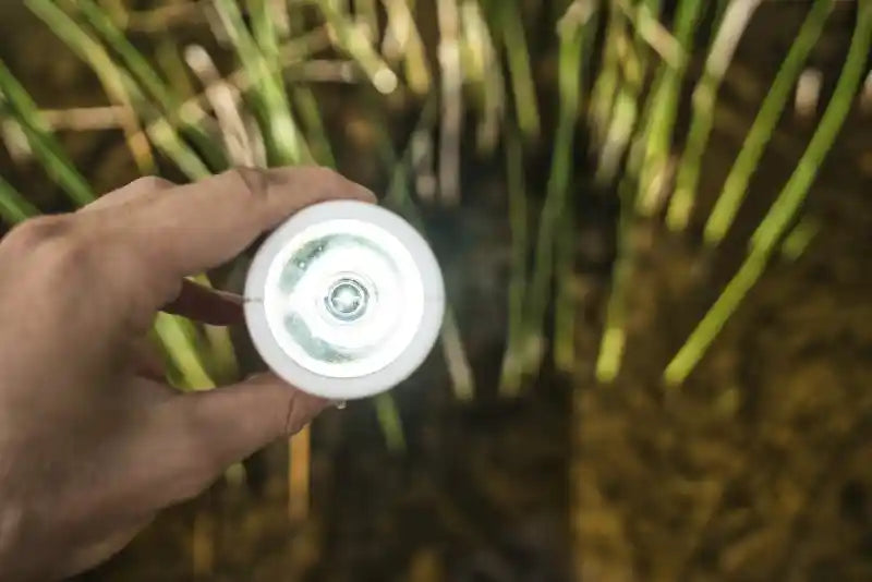 WaterLamp H2Only - lampe de poche d&